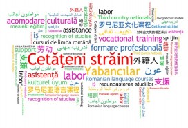 Servicii integrate pentru RTT