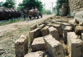 Sărăcia afectează în special mediul rural